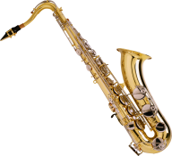 Trumpet PNG Free Download 37