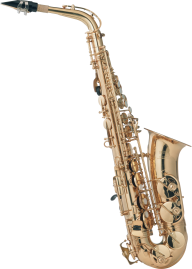 Trumpet PNG Free Download 41