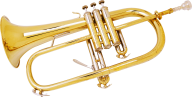 Trumpet PNG Free Download 42