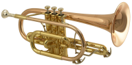 Trumpet PNG Free Download 46