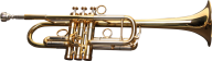 Trumpet PNG Free Download 7