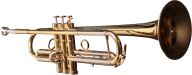 Trumpet PNG Free Download 9