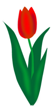 Tulip PNG Free Download 39
