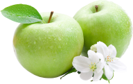 Two green Apple with Apple Flower and Leaves