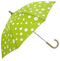Umbrella PNG Free Download 8