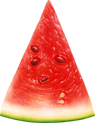 Watermelon PNG Free Download 12