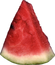 Watermelon PNG Free Download 13