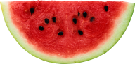 Watermelon PNG Free Download 14
