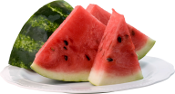 Watermelon PNG Free Download 18