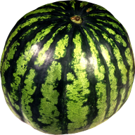 Watermelon PNG Free Download 19