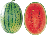 Watermelon PNG Free Download 29