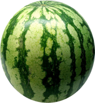 Watermelon PNG Free Download 3