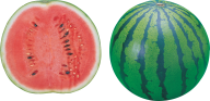 Watermelon PNG Free Download 9