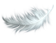 White Feather Png Download