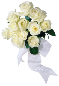 White Roses PNG Free Download 15