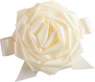 White Roses PNG Free Download 5