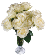 White Roses PNG Free Download 9