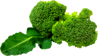 with leaves green broccoil free png download
