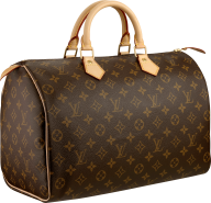 women fancy clip handpouch free png download