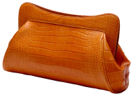 women fancy handpouch free png download
