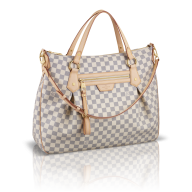 women fancy office handbag free png download