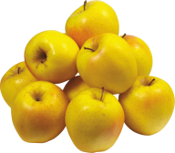 Yellow Apples Png Image Free Download